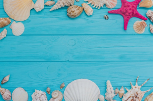 Seashells on Blue Timber